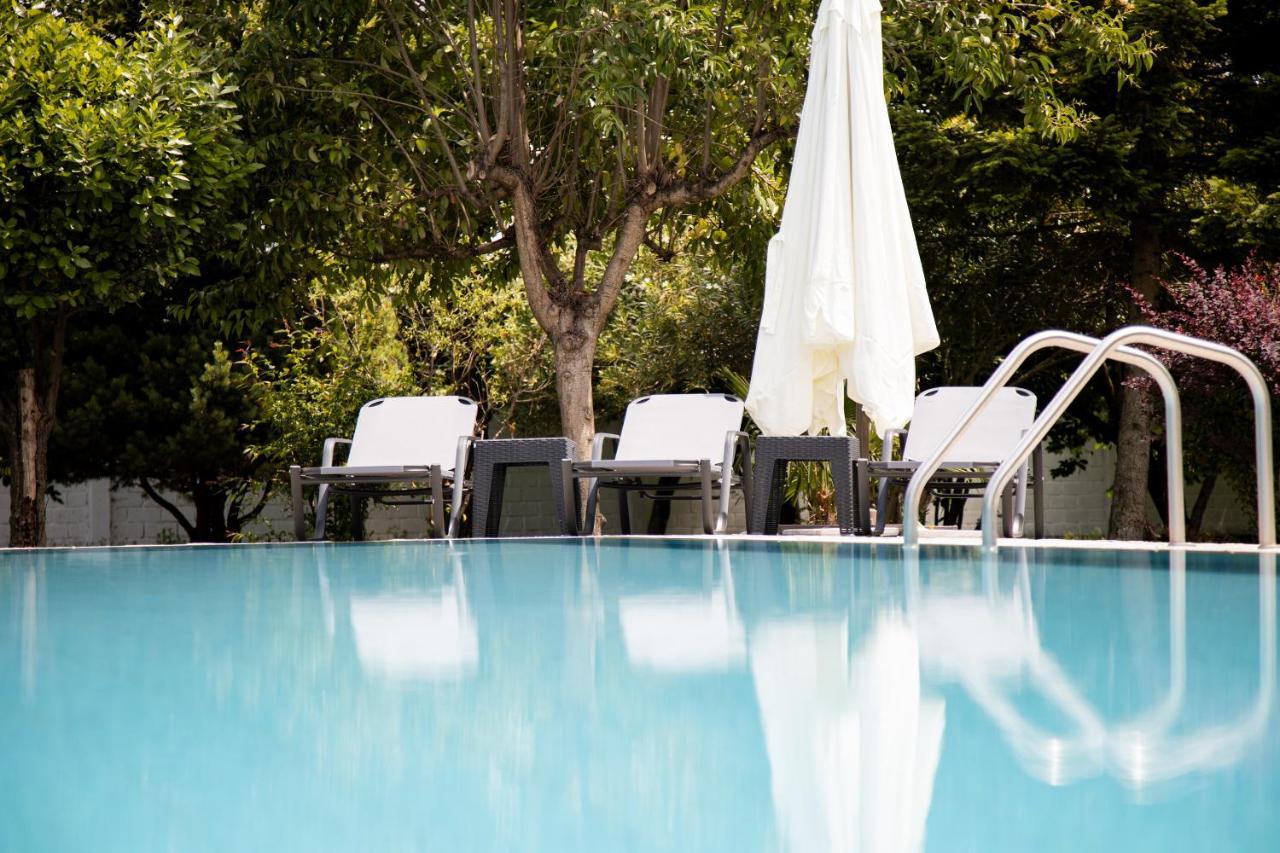 Zeusplace Poolvilla Natura Paralia กาเตรินี ภายนอก รูปภาพ